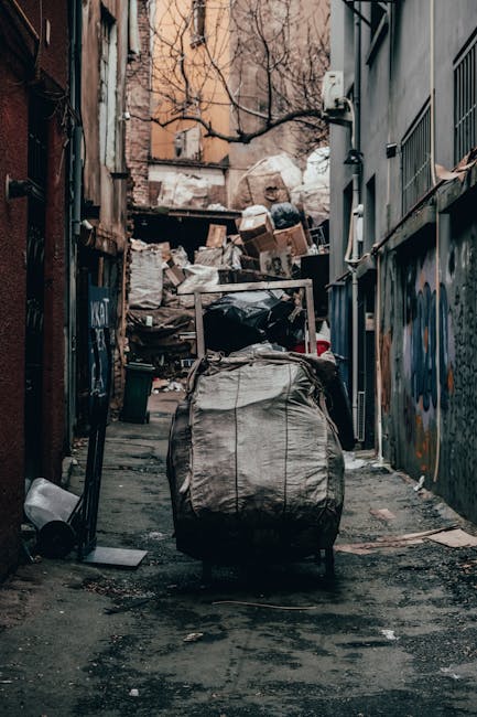 Hidden fees to avoid in Eltham rubbish removal quotes