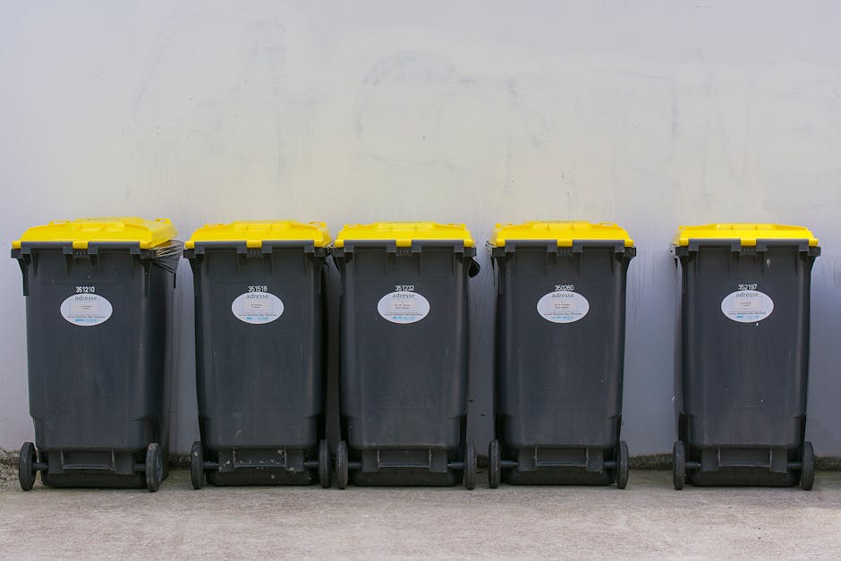 Urgent rubbish collection Eltham short notice options